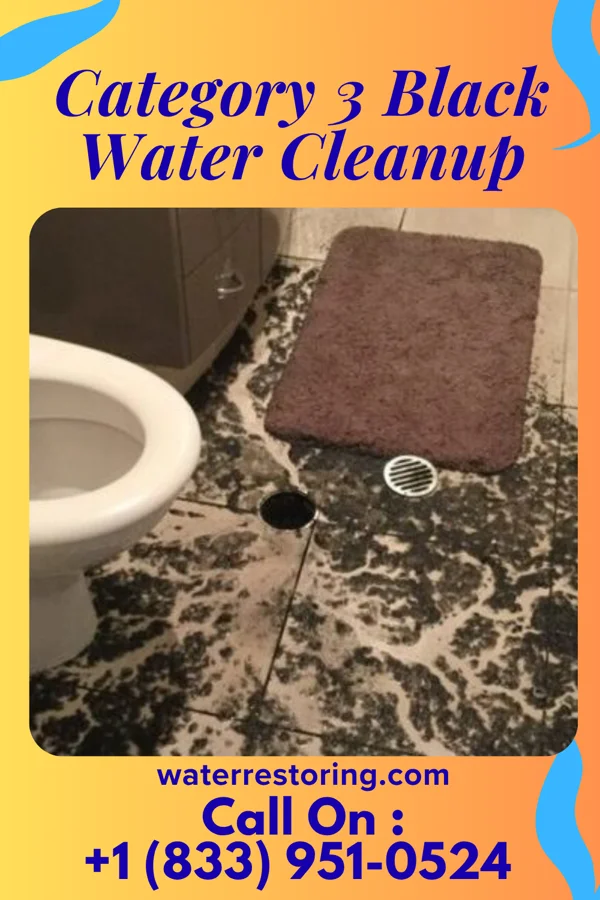 Category 3 Black Water Cleanup in Keswick, CA